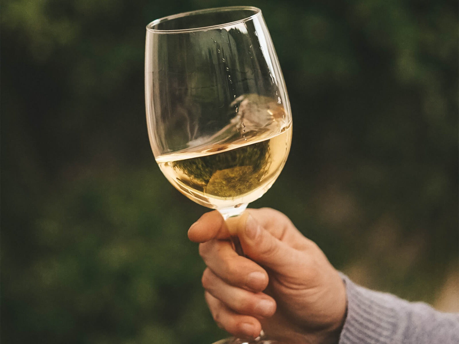 Verre de vin blanc